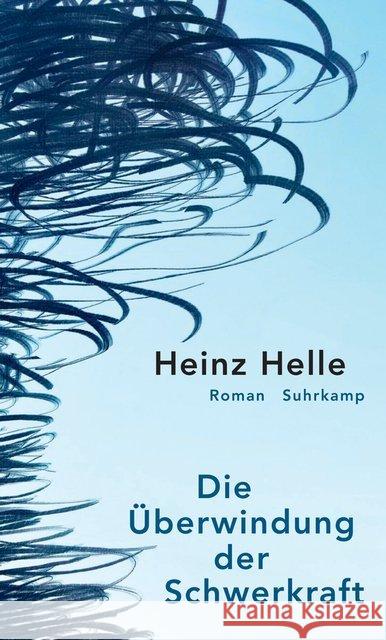 Die Überwindung der Schwerkraft : Roman Helle, Heinz 9783518428238