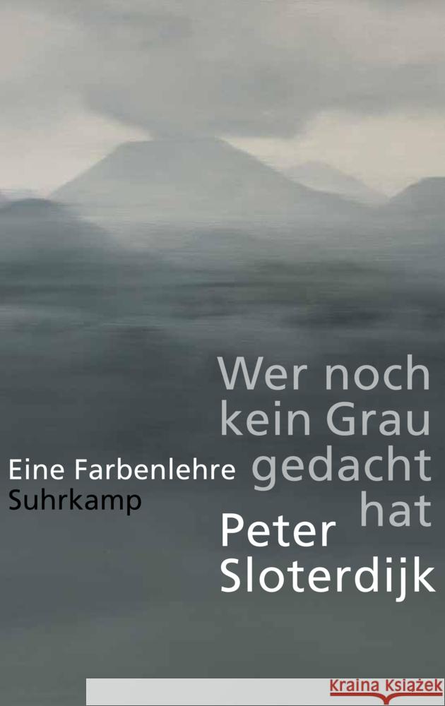 Wer noch kein Grau gedacht hat Sloterdijk, Peter 9783518430682