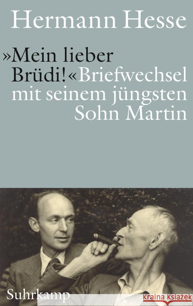 »Mein lieber Brüdi!« Hesse, Hermann 9783518430842 Suhrkamp