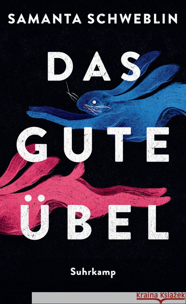 Das gute Übel Schweblin, Samanta 9783518431382