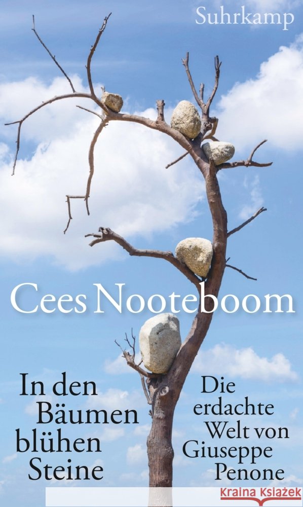 In den Bäumen blühen Steine Nooteboom, Cees 9783518431559