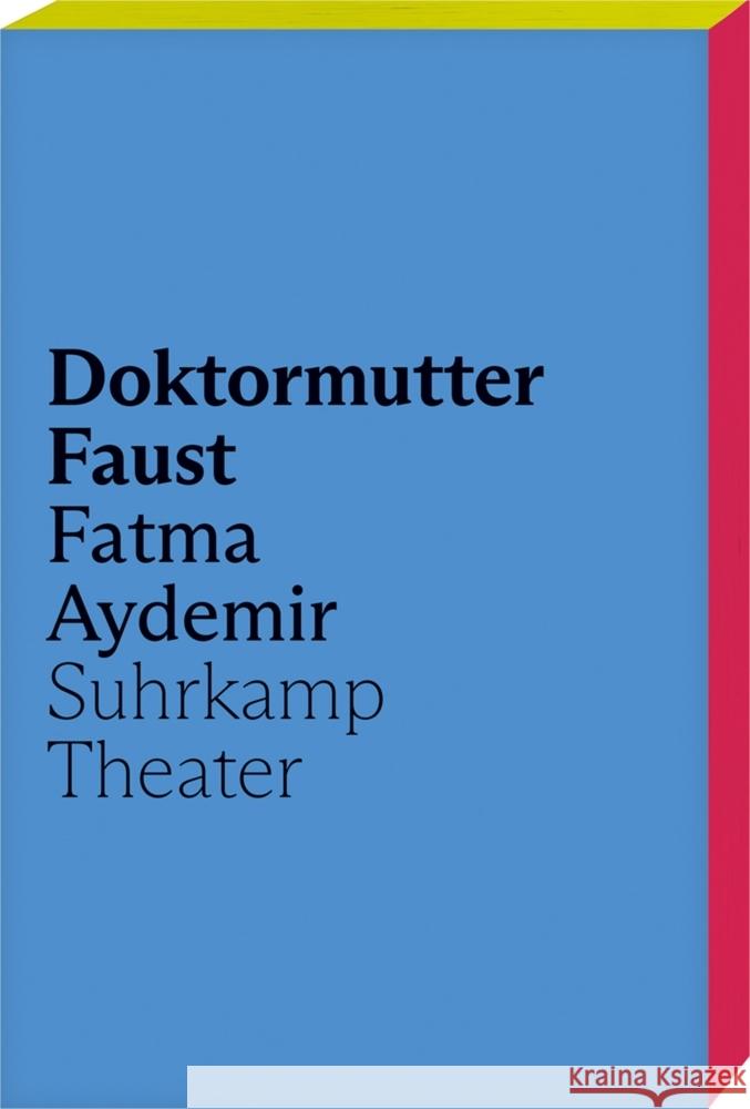 Doktormutter Faust Aydemir, Fatma 9783518432099