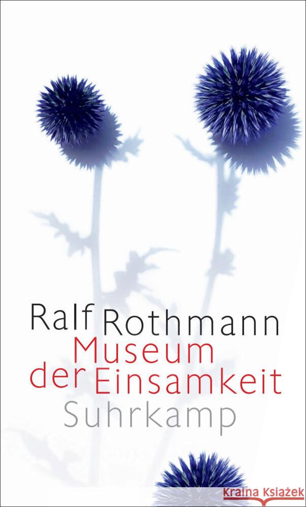 Museum der Einsamkeit Rothmann, Ralf 9783518432303
