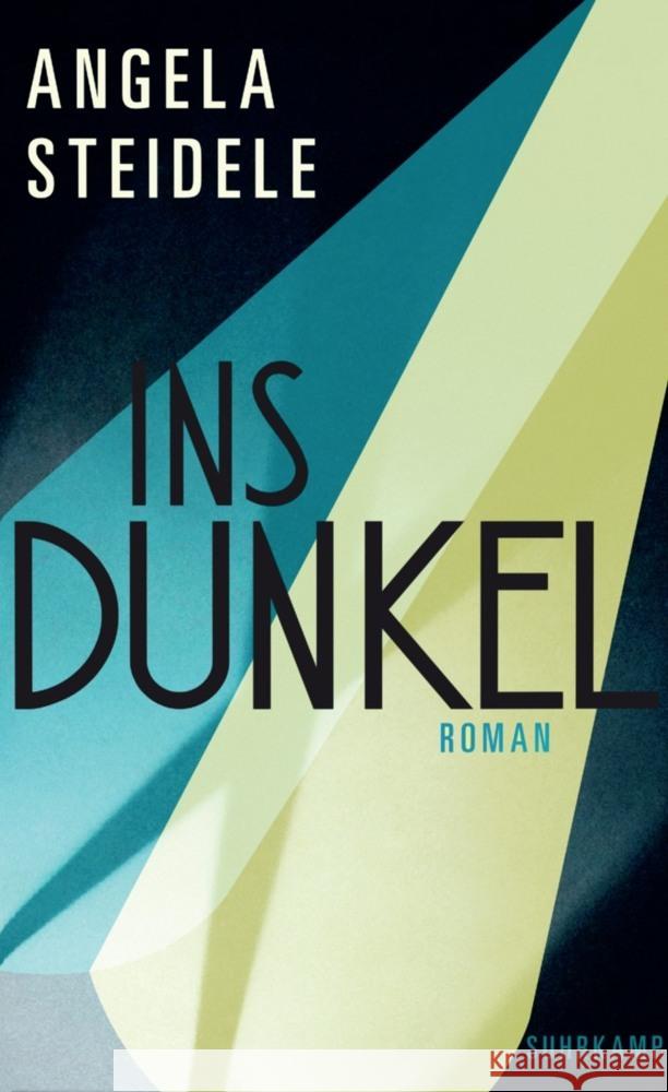 Ins Dunkel Steidele, Angela 9783518432471 Suhrkamp