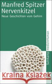 Nervenkitzel : Neue Geschichten vom Gehirn Spitzer, Manfred   9783518458204 Suhrkamp