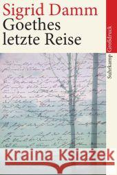 Goethes letzte Reise, Großdruck Damm, Sigrid   9783518462034 Suhrkamp
