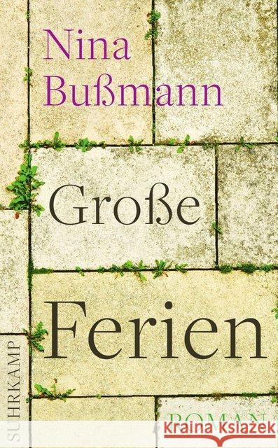 Große Ferien : Roman Bußmann, Nina 9783518465240 Suhrkamp