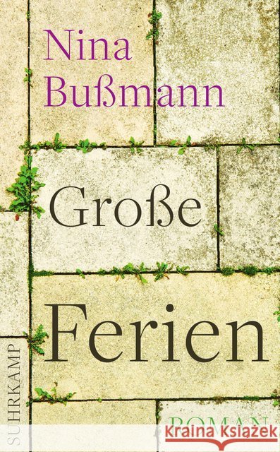Große Ferien : Roman Bußmann, Nina 9783518465240