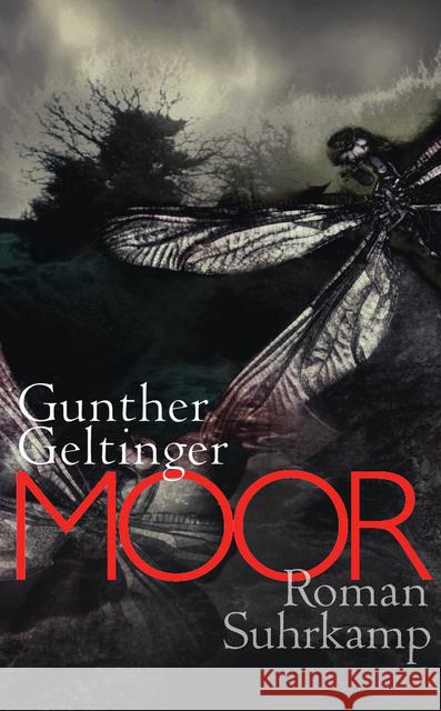 Moor : Roman Geltinger, Gunther 9783518465622 Suhrkamp