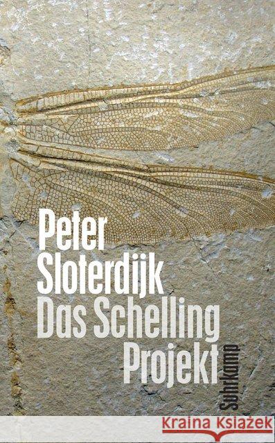 Das Schelling-Projekt : Bericht Sloterdijk, Peter 9783518468364