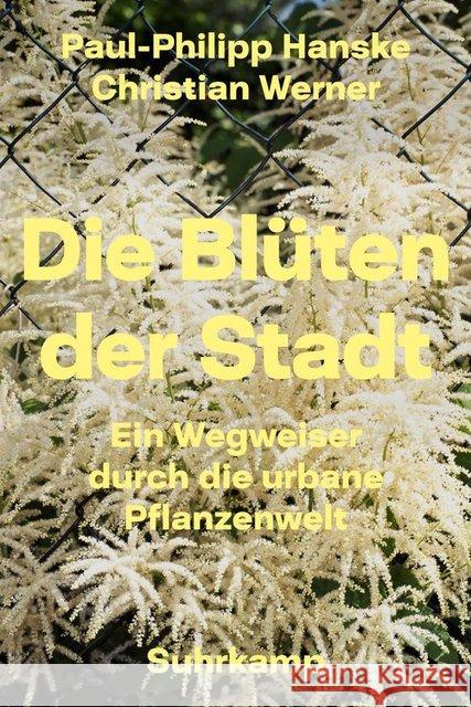 Die Blüten der Stadt : Ein Wegweiser durch die urbane Pflanzenwelt Hanske, Paul-Phillip 9783518468678