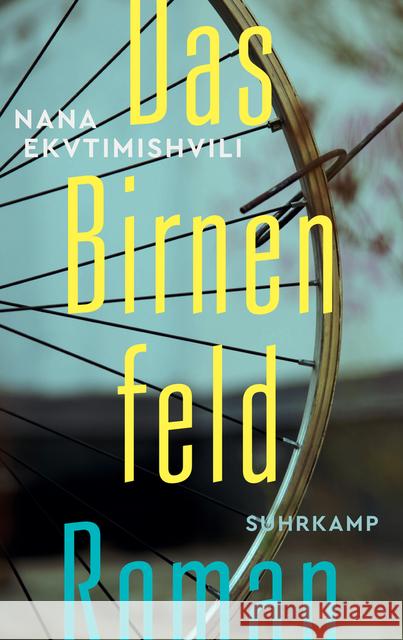 Das Birnenfeld : Roman Ekvtimishvili, Nana 9783518468821