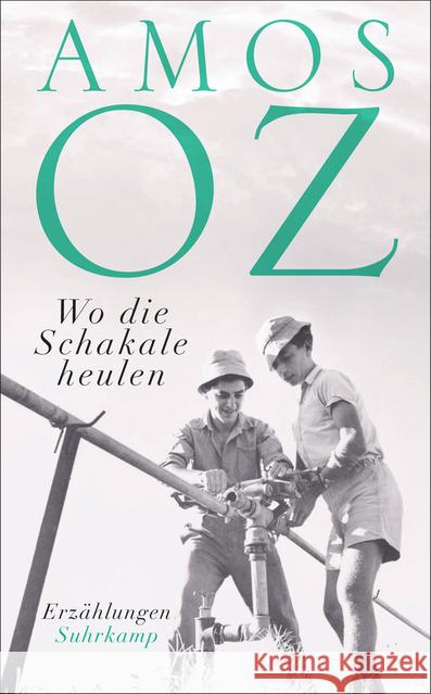 Wo die Schakale heulen : Erzählungen Oz, Amos 9783518469699