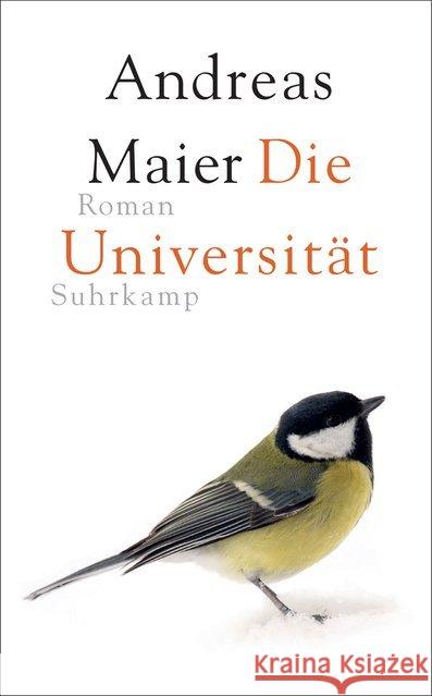 Die Universität : Roman Maier, Andreas 9783518470633