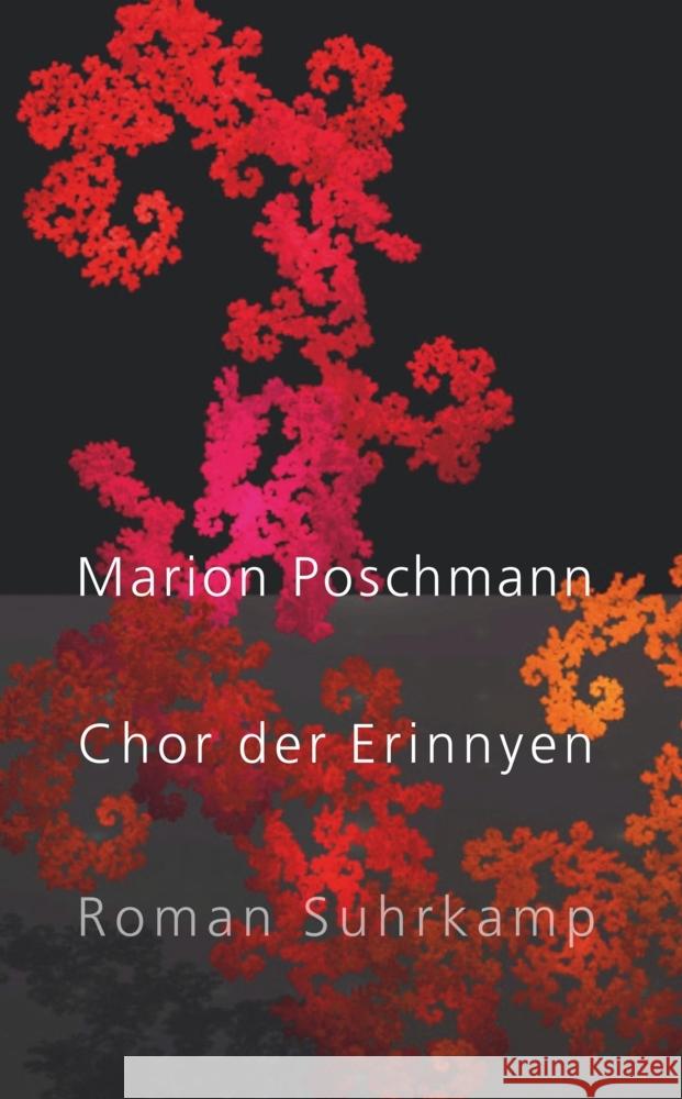 Chor der Erinnyen Poschmann, Marion 9783518474464 Suhrkamp