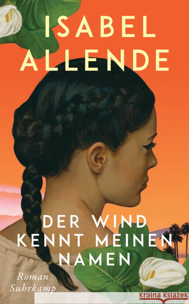 Der Wind kennt meinen Namen Allende, Isabel 9783518474785