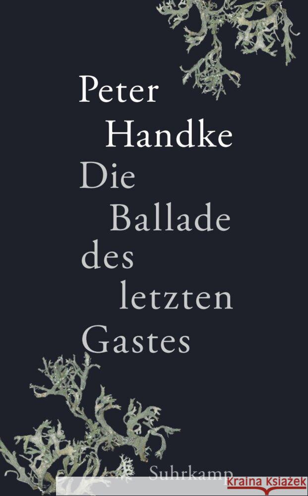Die Ballade des letzten Gastes Handke, Peter 9783518474921