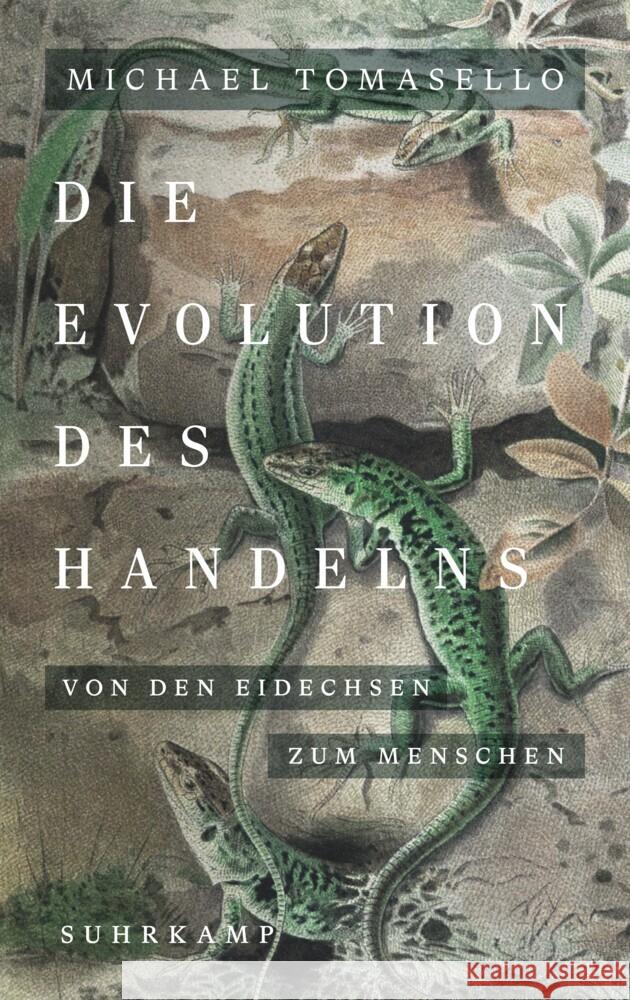 Die Evolution des Handelns Tomasello, Michael 9783518588123