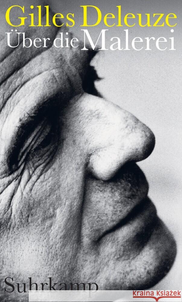 Über die Malerei Deleuze, Gilles 9783518588253