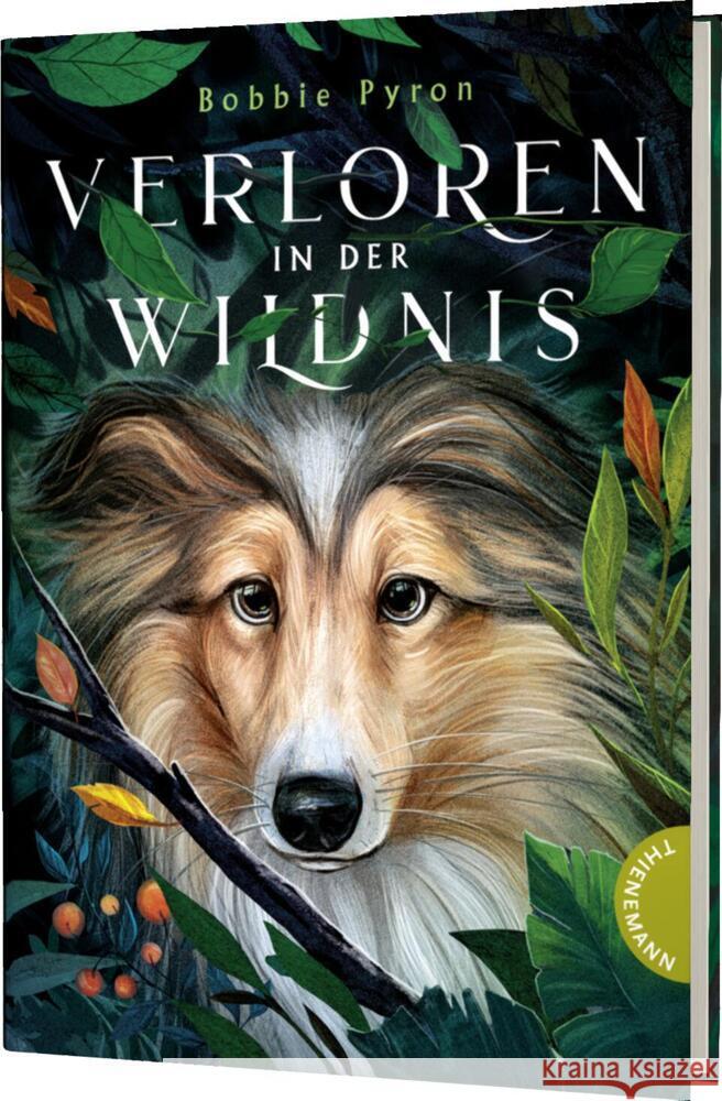 Verloren in der Wildnis Pyron, Bobbie 9783522185448