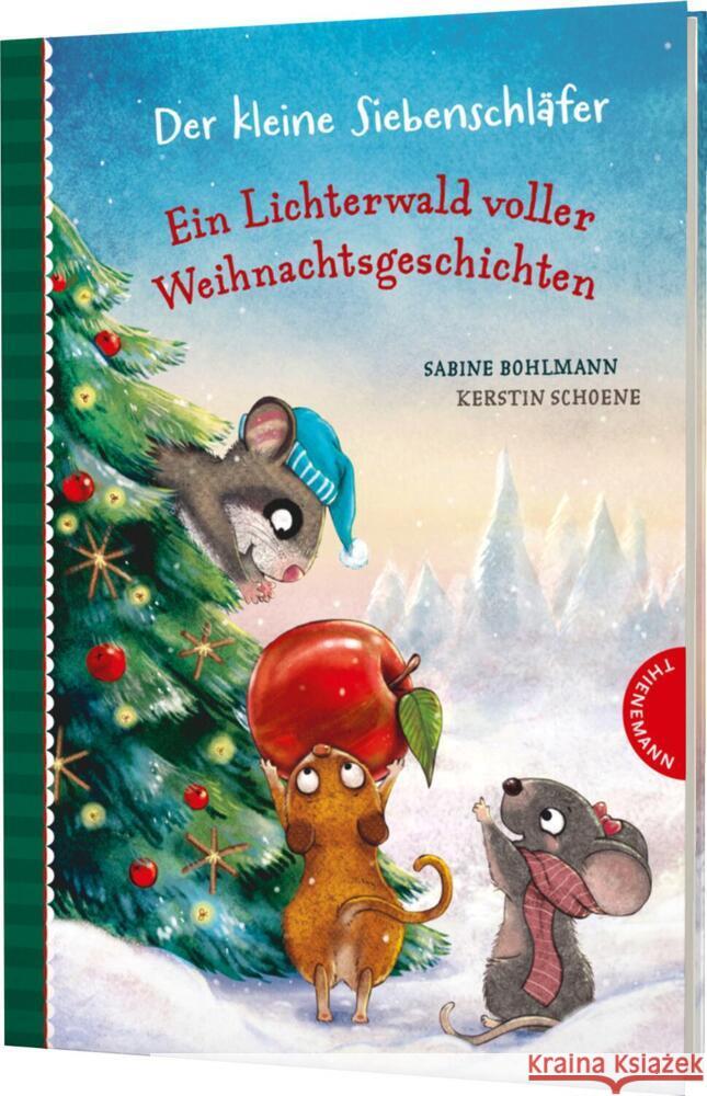 Der kleine Siebenschläfer: Ein Lichterwald voller Weihnachtsgeschichten Bohlmann, Sabine 9783522185547