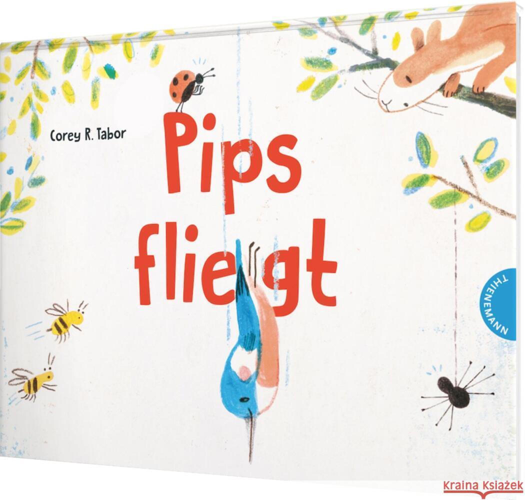 Pips fliegt Tabor, Corey R. 9783522460033