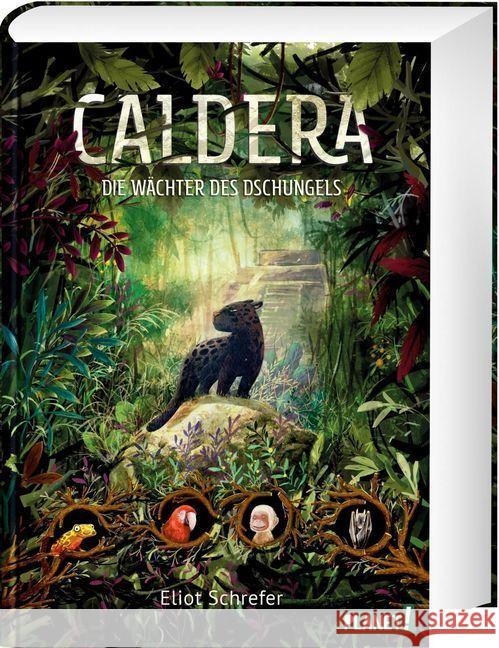 Caldera - Die Wächter des Dschungels Schrefer, Eliot 9783522506069 Planet!