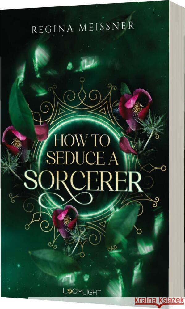 How to Seduce a Sorcerer Meißner, Regina 9783522508681