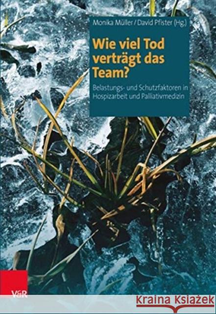 Wie Viel Tod Vertragt Das Team?: Belastungs- Und Schutzfaktoren in Hospizarbeit Und Palliativmedizin Muller, Monika 9783525403419