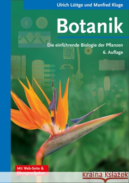 Botanik: Die Einfuhrende Biologie Der Pflanzen Luttge, Ulrich E. 9783527331925