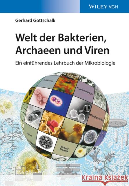 Welt der Bakterien, Archaeen und Viren : Ein einführendes Lehrbuch der Mikrobiologie Gottschalk, Gerhard 9783527336760