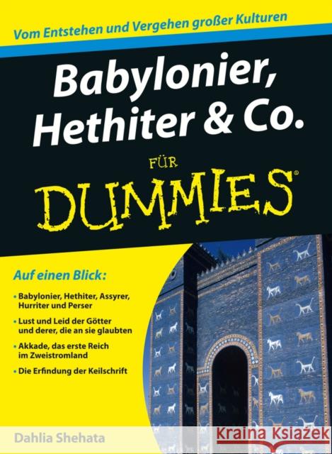 Babylonier, Hethiter und Co. fur Dummies  9783527704996 Wiley-VCH Verlag GmbH