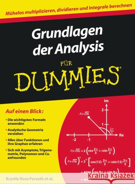 Grundlagen der Analysis fur Dummies Forseth, Krystle R. Burger, Christopher Gilman, Michelle R. 9783527706419 Wiley-VCH Dummies