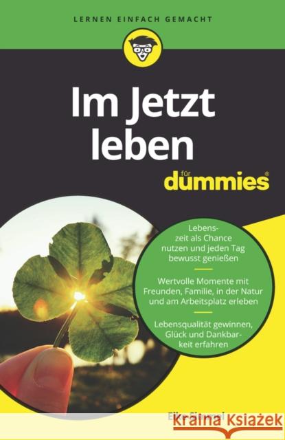 Im Jetzt leben fur Dummies Elke Simmel 9783527716982