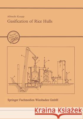 Gasification of Rice Hulls Kaupp, Albrecht 9783528020026