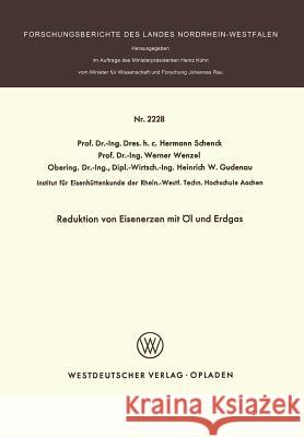 Reduktion Von Eisenerzen Mit Öl Und Erdgas Schenck, Hermann 9783531022284 Vs Verlag Fur Sozialwissenschaften