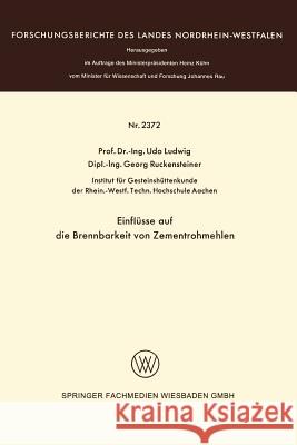 Einflüsse Auf Die Brennbarkeit Von Zementrohmehlen Ludwig, Udo 9783531023724