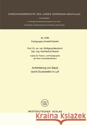 Aufwirbelung Von Staub Durch Druckwellen in Luft Wolfgang Merzkirch Wolfgang Merzkirch 9783531027852 Springer