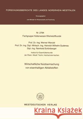 Wirtschaftliche Nutzbarmachung Von Eisenhaltigen Abfallstoffen Werner Wenzel 9783531027944 Vs Verlag F R Sozialwissenschaften
