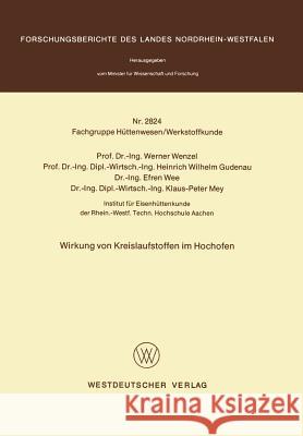 Wirkung Von Kreislaufstoffen Im Hochofen Werner Wenzel 9783531028248 Vs Verlag Fur Sozialwissenschaften