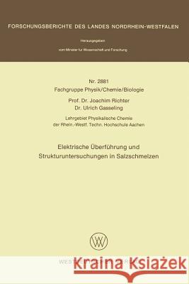 Elektrische Überführung Und Strukturuntersuchungen in Salzschmelzen Richter, Joachim 9783531028811 Vs Verlag Fur Sozialwissenschaften