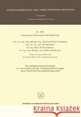 Grundlagenuntersuchungen Zur Verhinderung Der Anbackerscheinungen Beim Drehrohrofenreduktionsprozeß Gudenau, Heinrich-Wilhelm 9783531029290
