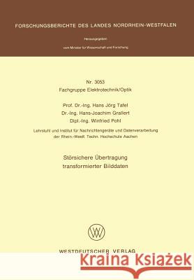 Störsichere Übertragung Transformierter Bilddaten Tafel, Hans Jörg 9783531030531 Vs Verlag F R Sozialwissenschaften