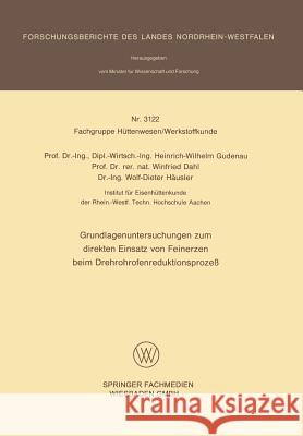 Grundlagenuntersuchungen Zum Direkten Einsatz Von Feinerzen Beim Drehrohrofenreduktionsprozeß Gudenau, Heinrich-Wilhelm 9783531031224 Vs Verlag Fur Sozialwissenschaften