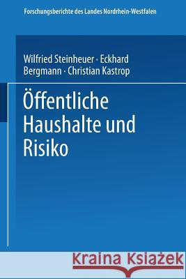 Öffentliche Haushalte Und Risiko Bergmann, Eckhard 9783531032436 Springer