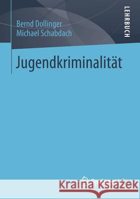 Jugendkriminalität Dollinger, Bernd 9783531176963 Vs Verlag F R Sozialwissenschaften