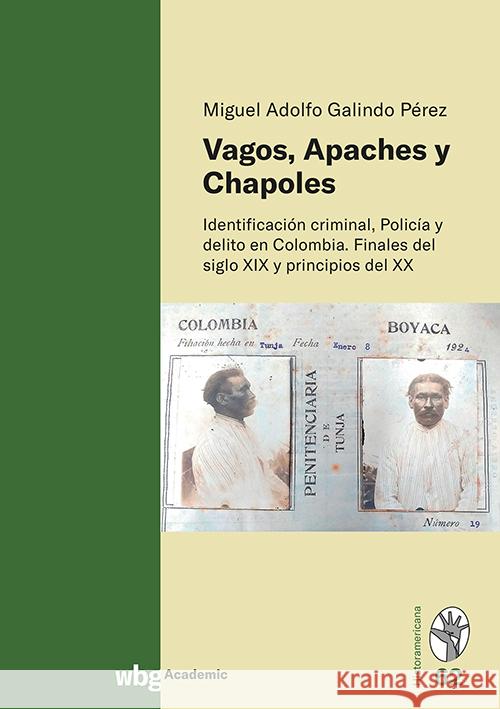 Vagos, Apaches y Chapoles Galindo Pérez, Miguel Adolfo 9783534642441 WBG Academic