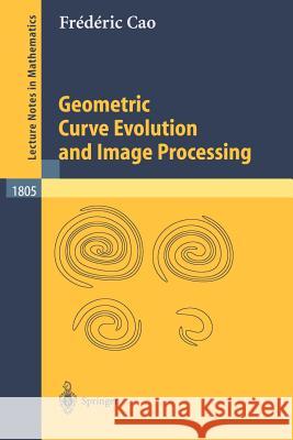 Geometric Curve Evolution and Image Processing Heike J. Emmerich Frederic Cao Frdric Cao 9783540004028
