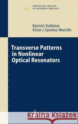 Transverse Patterns in Nonlinear Optical Resonators L. J. Gaul K. Staliunas Kestutis Staliunas 9783540004349 Springer