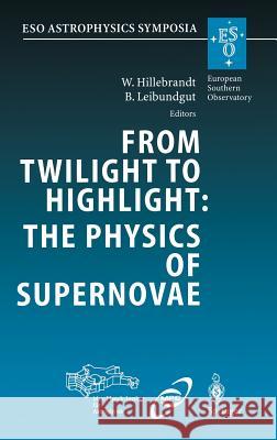 From Twilight to Highlight: The Physics of Supernovae: Proceedings of the ESO/MPA/MPE Workshop Held at Garching, Germany, 29–31 July 2002 Wolfgang Hillebrandt, Bruno Leibundgut 9783540004837 Springer-Verlag Berlin and Heidelberg GmbH & 